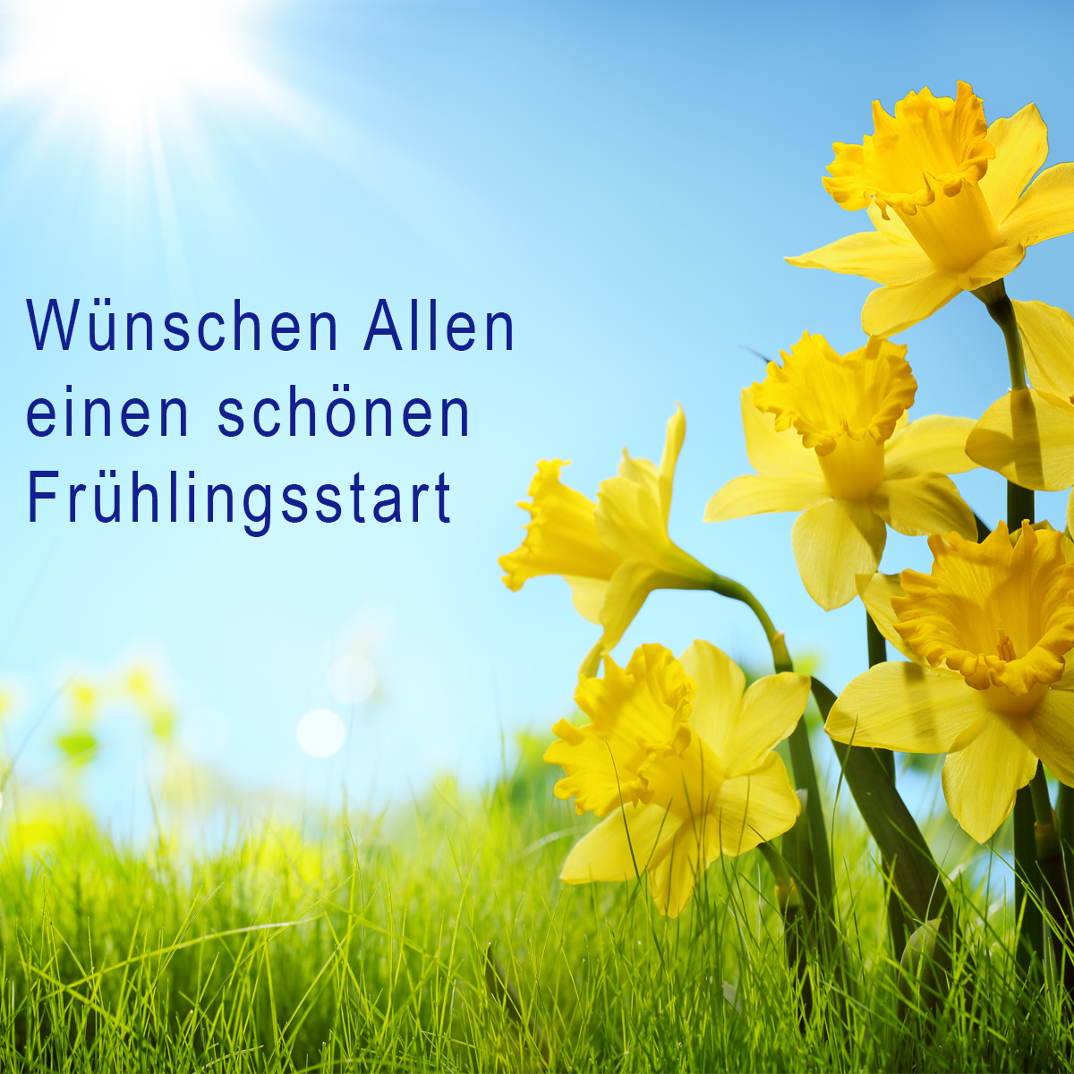20. März Frühlingsstart